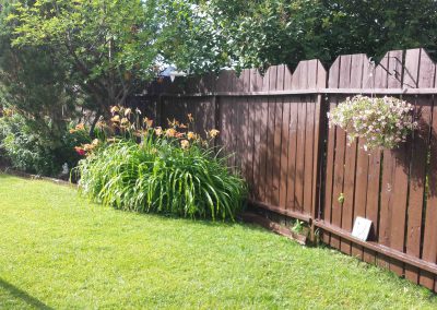 back yard 5